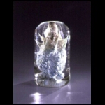 Trapped 7x4x4 in.jpg